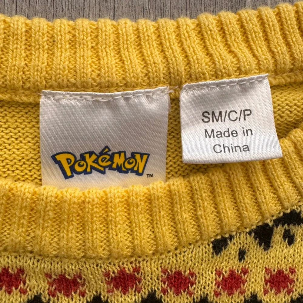 Pokemon pikachu holiday